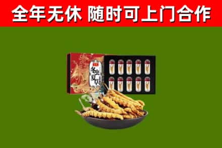 宁阳县回收冬虫夏草价格
