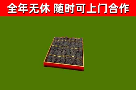 宁阳县回收海参